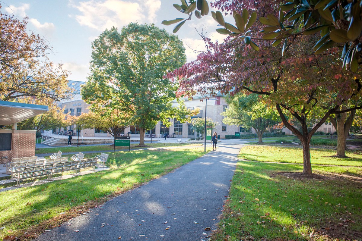 A sunlit paved pathway winds through a grassy college campus courtyard shaded by mature green and autumn-colored trees, with academic buildings and outdoor seating visible in the background.